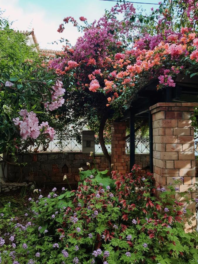 Veneto'S Garden Apartment Kardhamili Ngoại thất bức ảnh